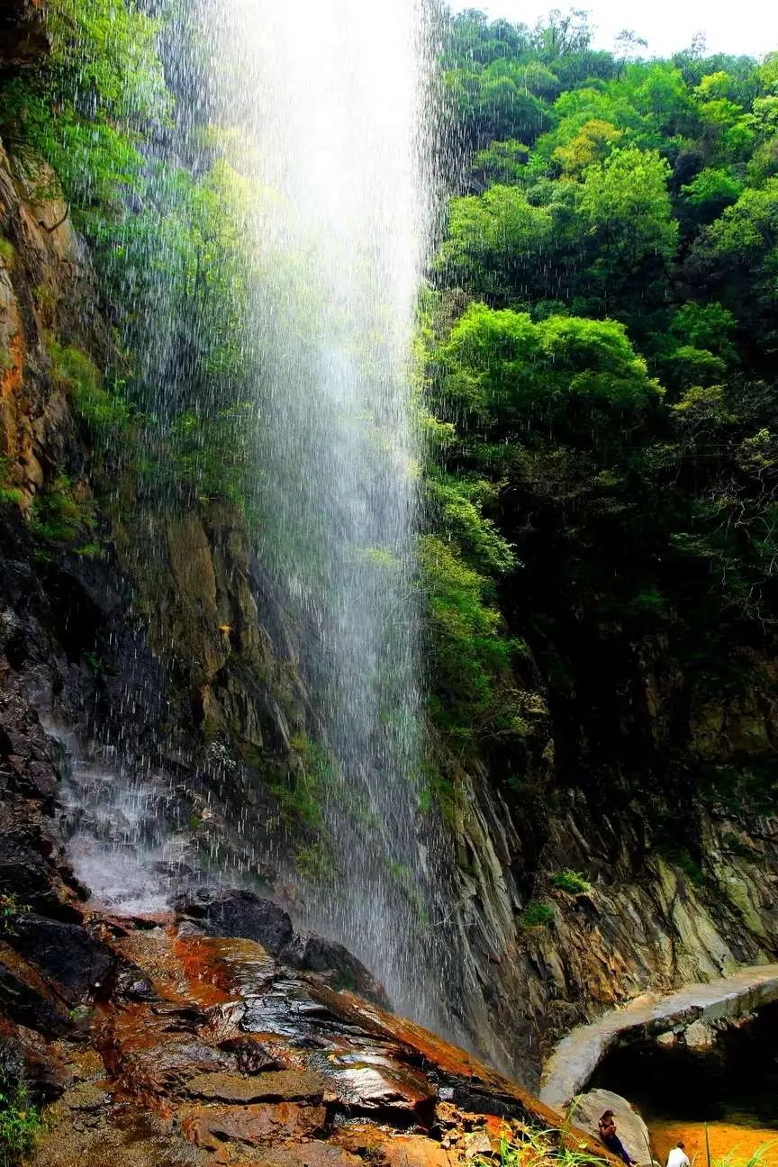 2024年甘肃省静宁县苹果“保险+期货”县域覆盖项目启动