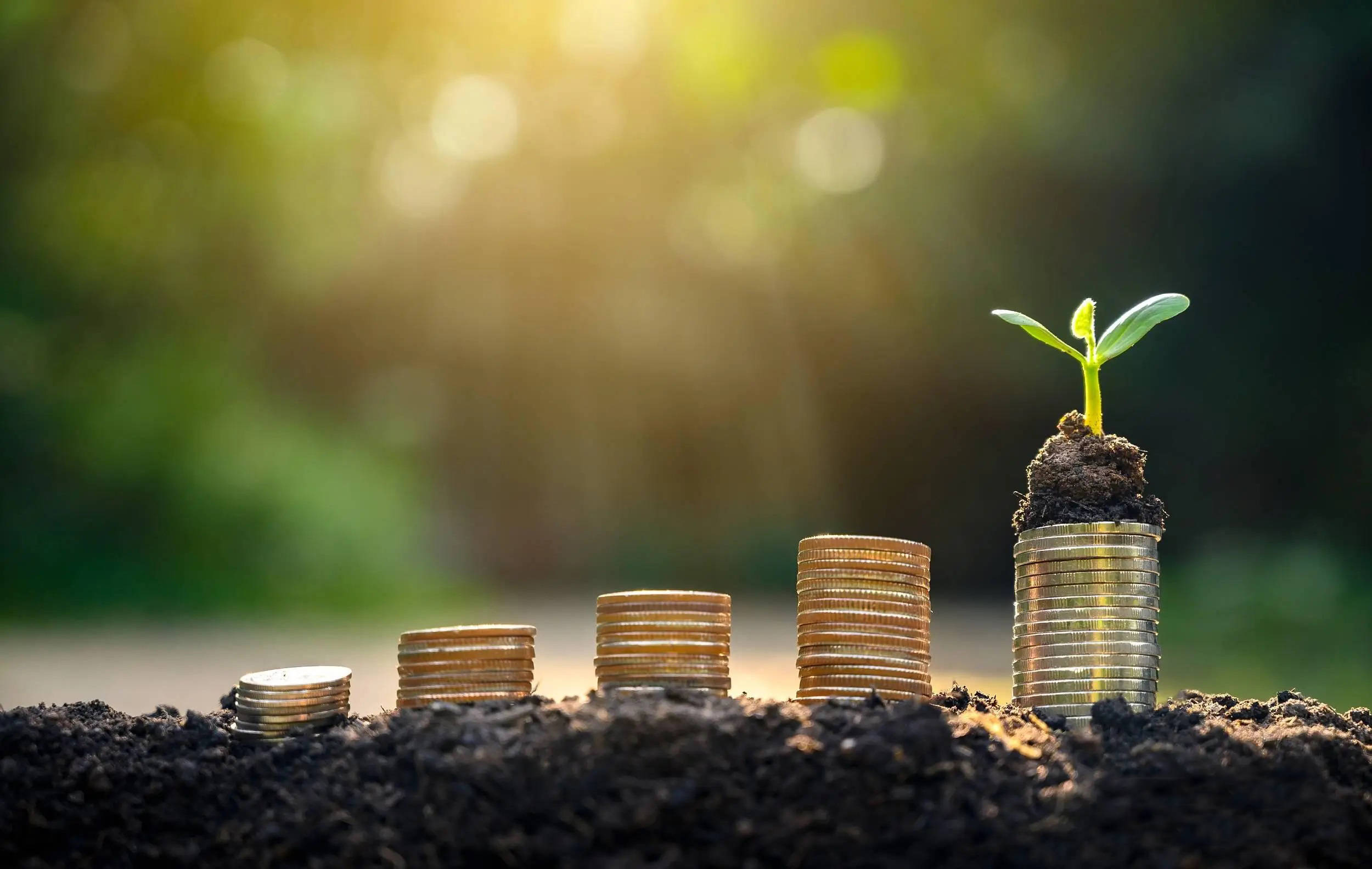 大项目诚邀“合伙人” 激发民间投资新活力