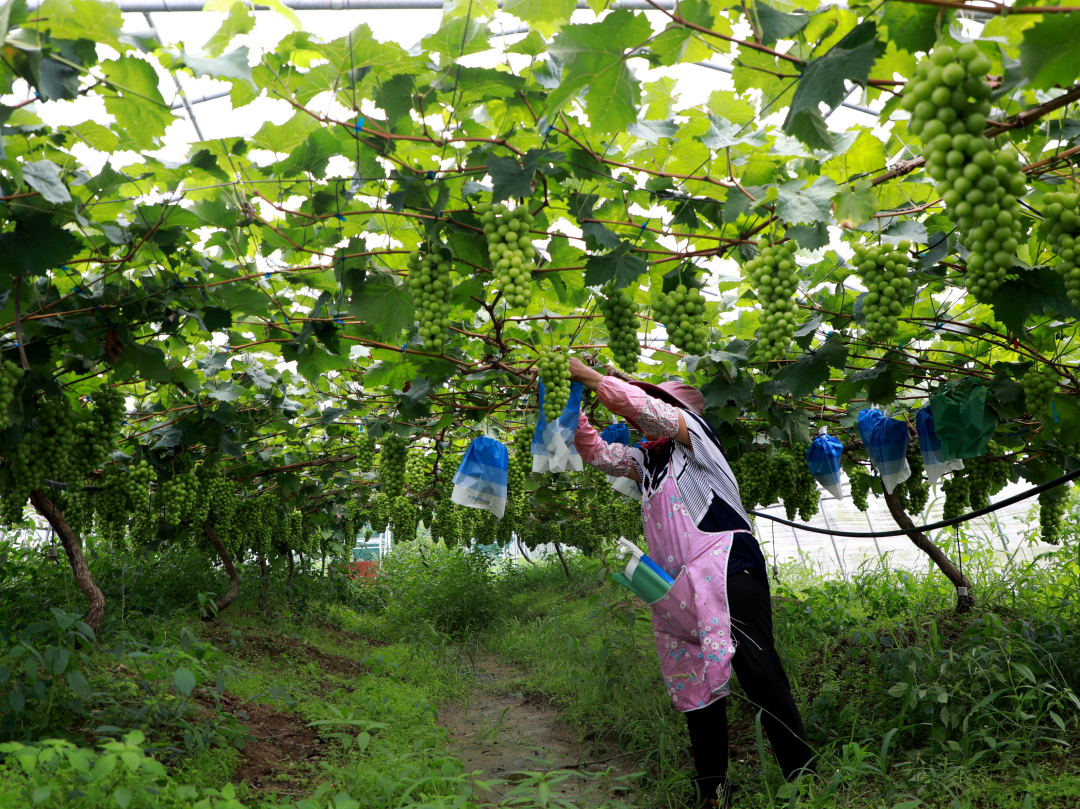 机器人产业风生水起 海外机构密集调研72只概念股