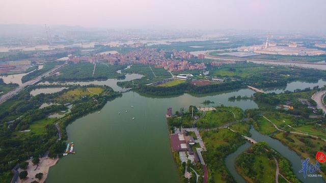 新时代中国调研行之看区域·大湾区篇丨经济规模领先 资源代价减少——从含绿量看广东高质量发展