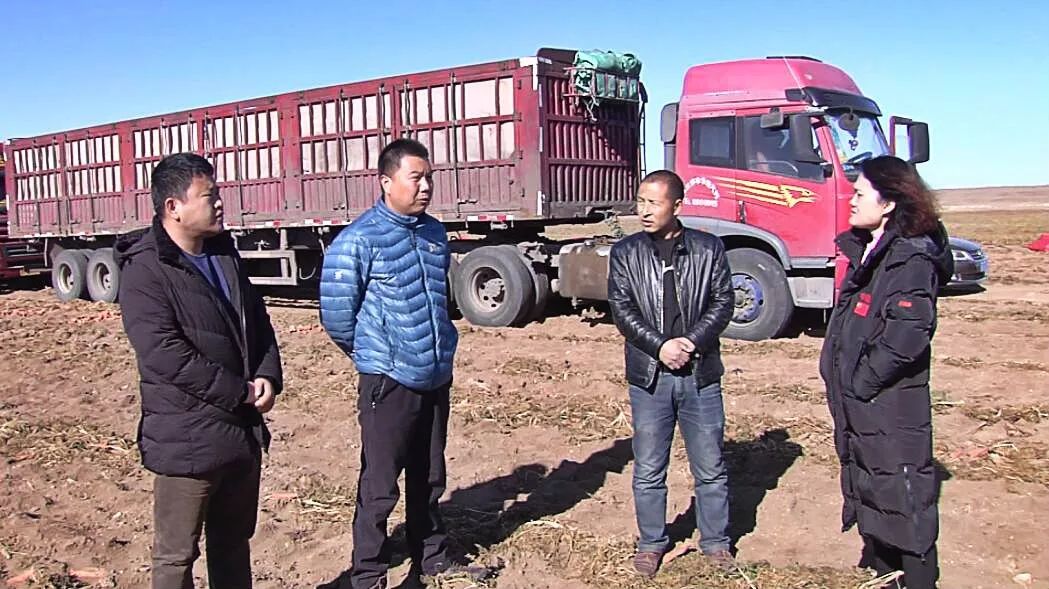 凯达恒业获黑蚁资本、建发新兴近4亿元首轮融资