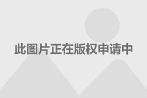 中再寿险发布《全球视野下商业长期护理保险发展研究报告》