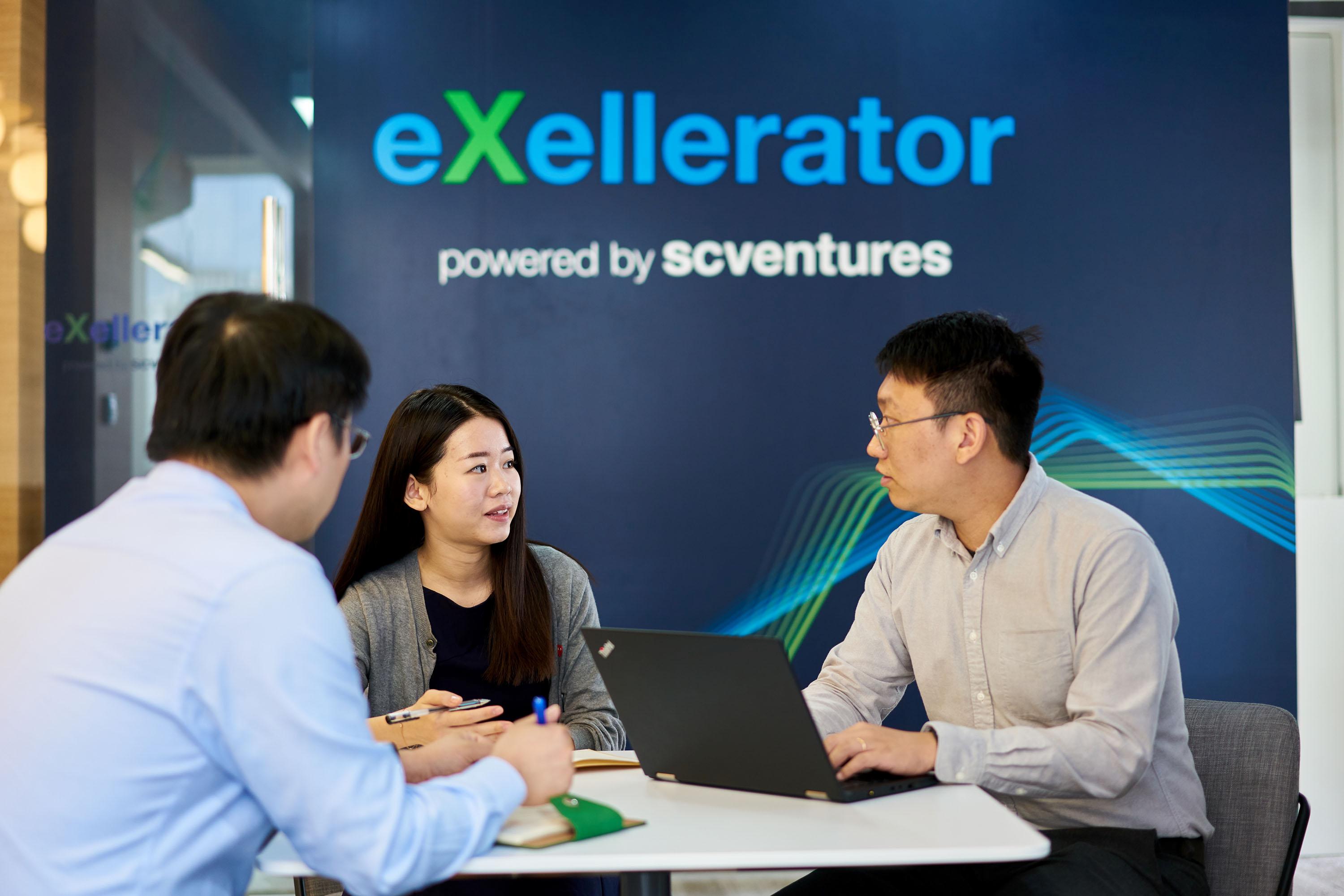 期货工具创新赋能，助力铁合金产业高效绿色发展