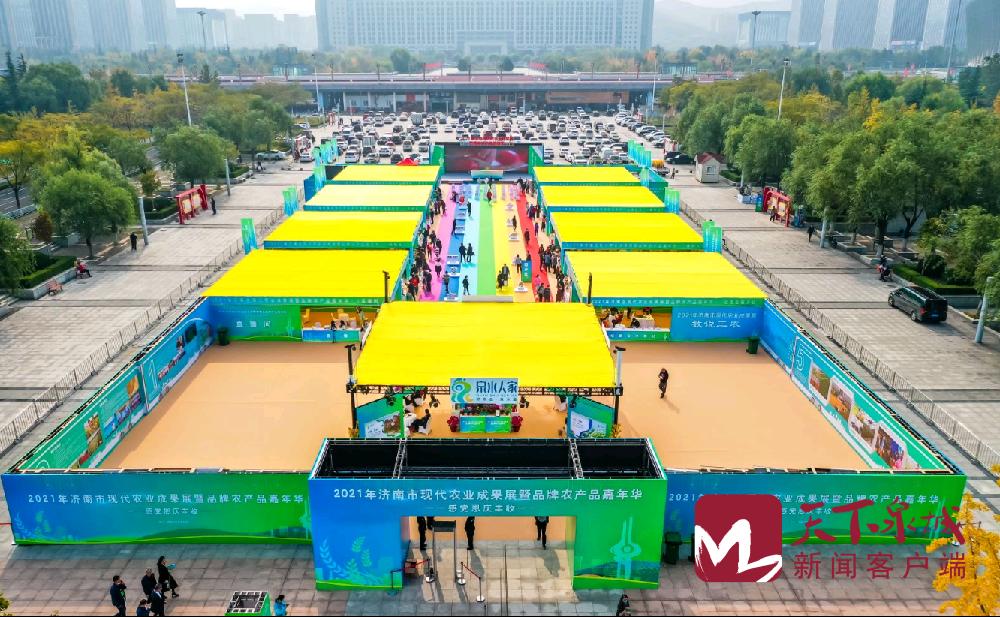 从田间到市场，花生期货护航产业链高质量发展