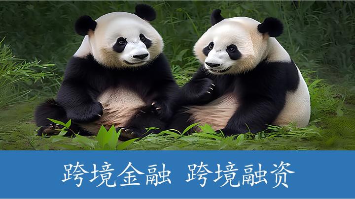 熊猫债点心债发行放量 预计2025年仍将保持较大发行规模