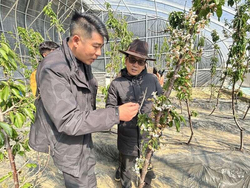 习近平总书记关切事｜打造黄金线路 造福中老民众