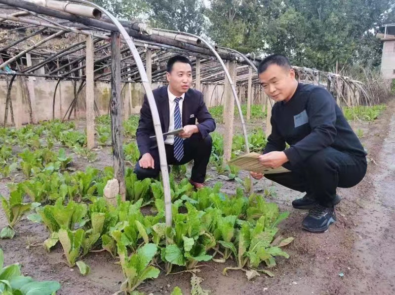 农发行2024年累计投放绿色贷款超7千亿元