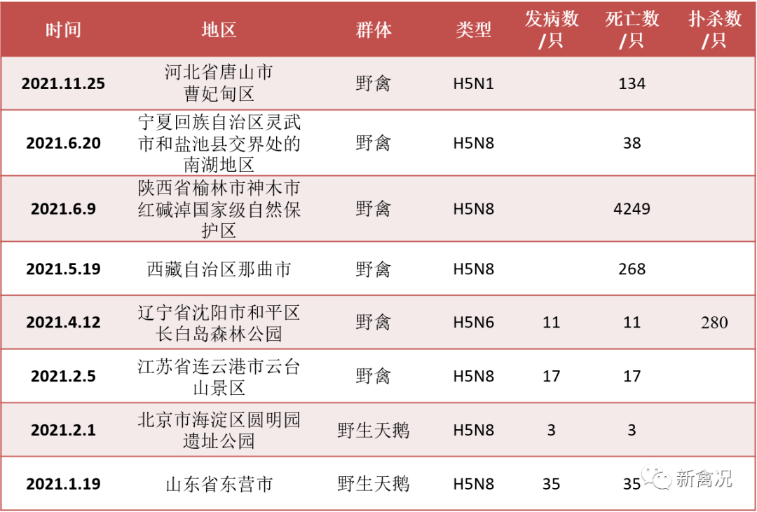 疾控专家预判：1月中下旬流感活动水平将下降