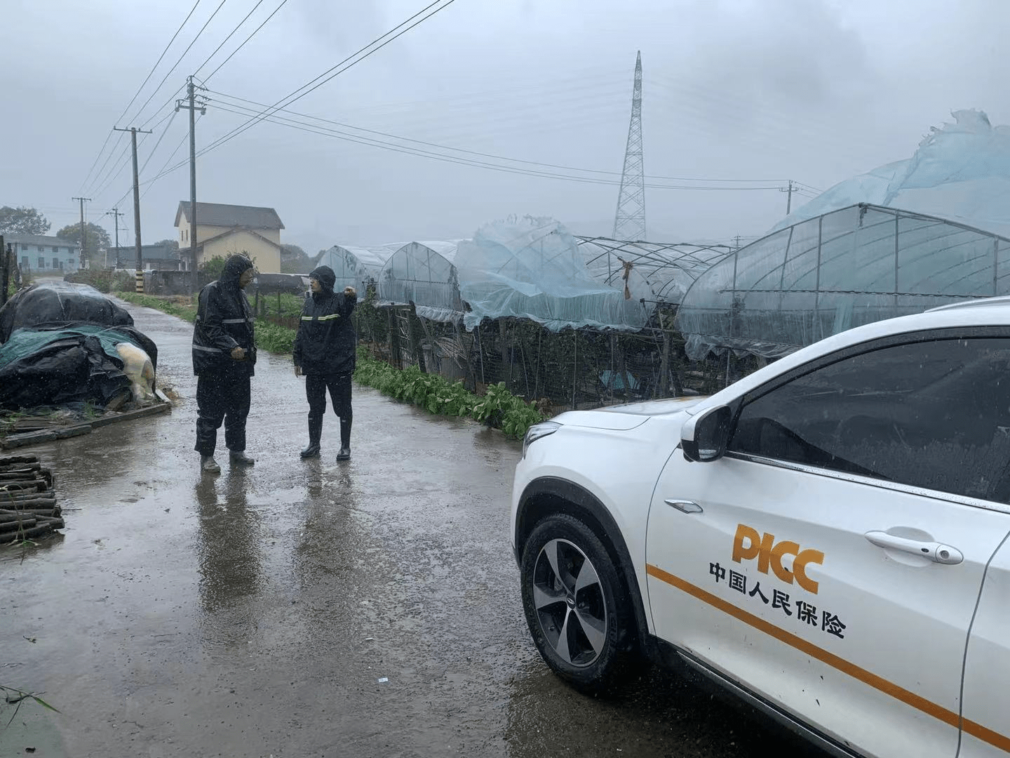 保险助力灾后重建 人保财险已支付西藏地震农房赔款近亿元