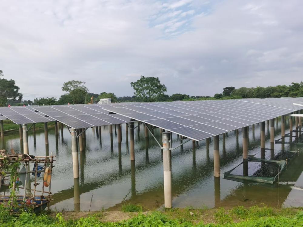 陈文辉：养老金融将有力促进现代产业体系建设