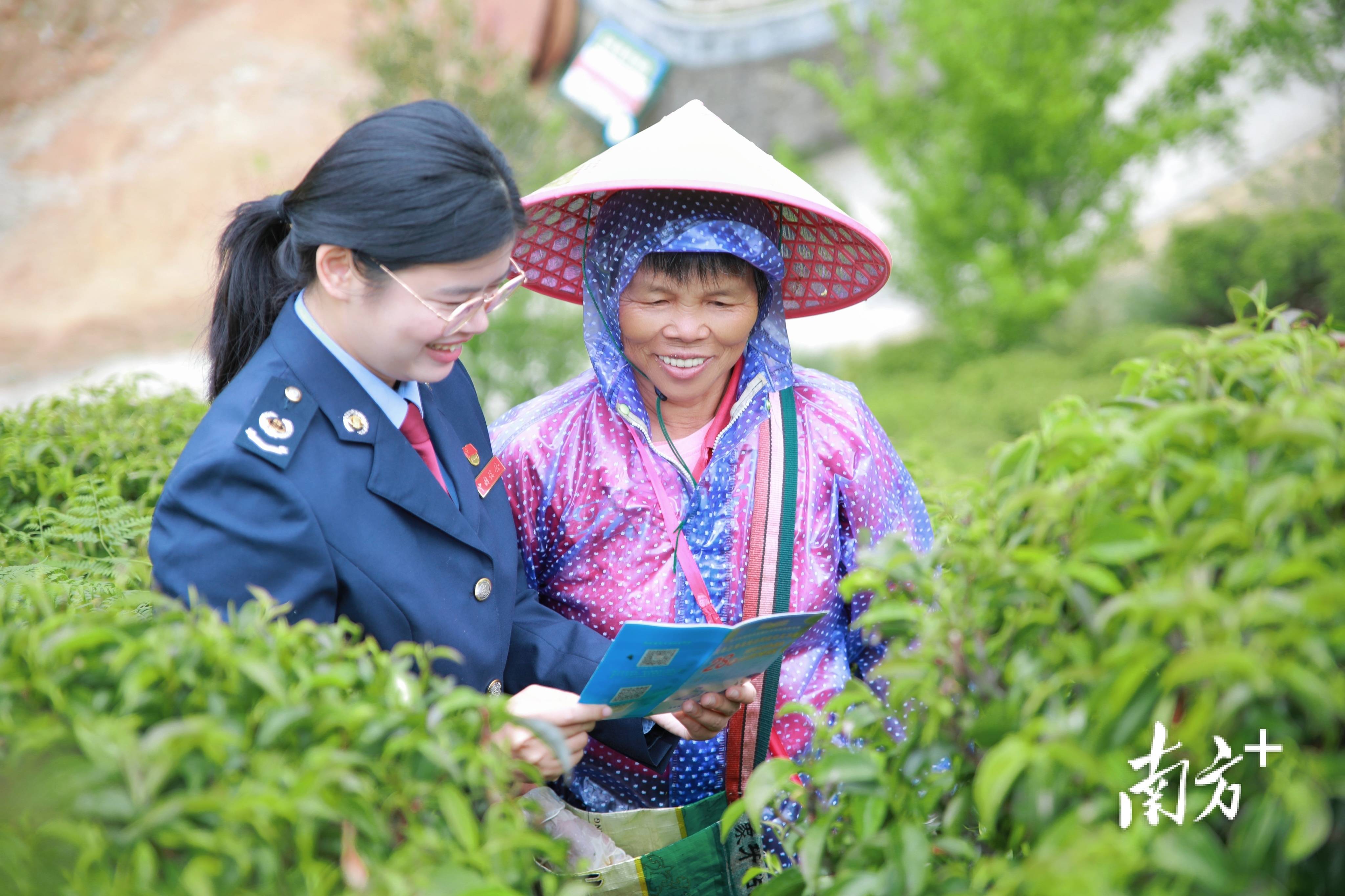 打好税优政策“组合拳” 以“税”赋能激活经济新活力
