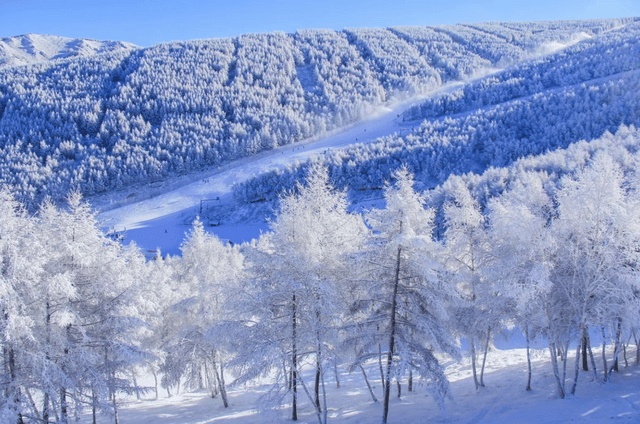 黑龙江：冰雪产业冬日“热”力全开