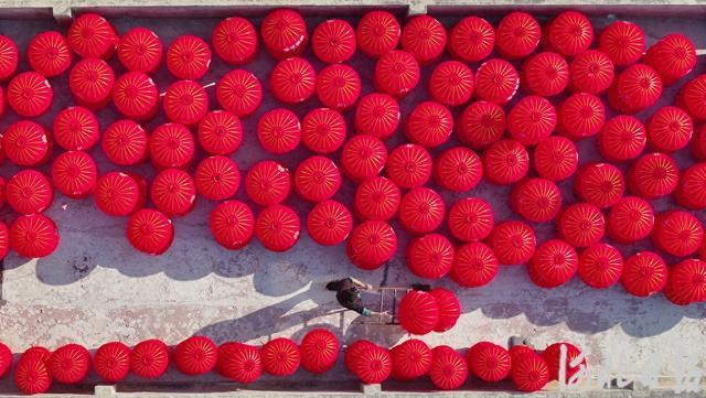 新春走基层丨鹿城迎春风 非遗焕新彩