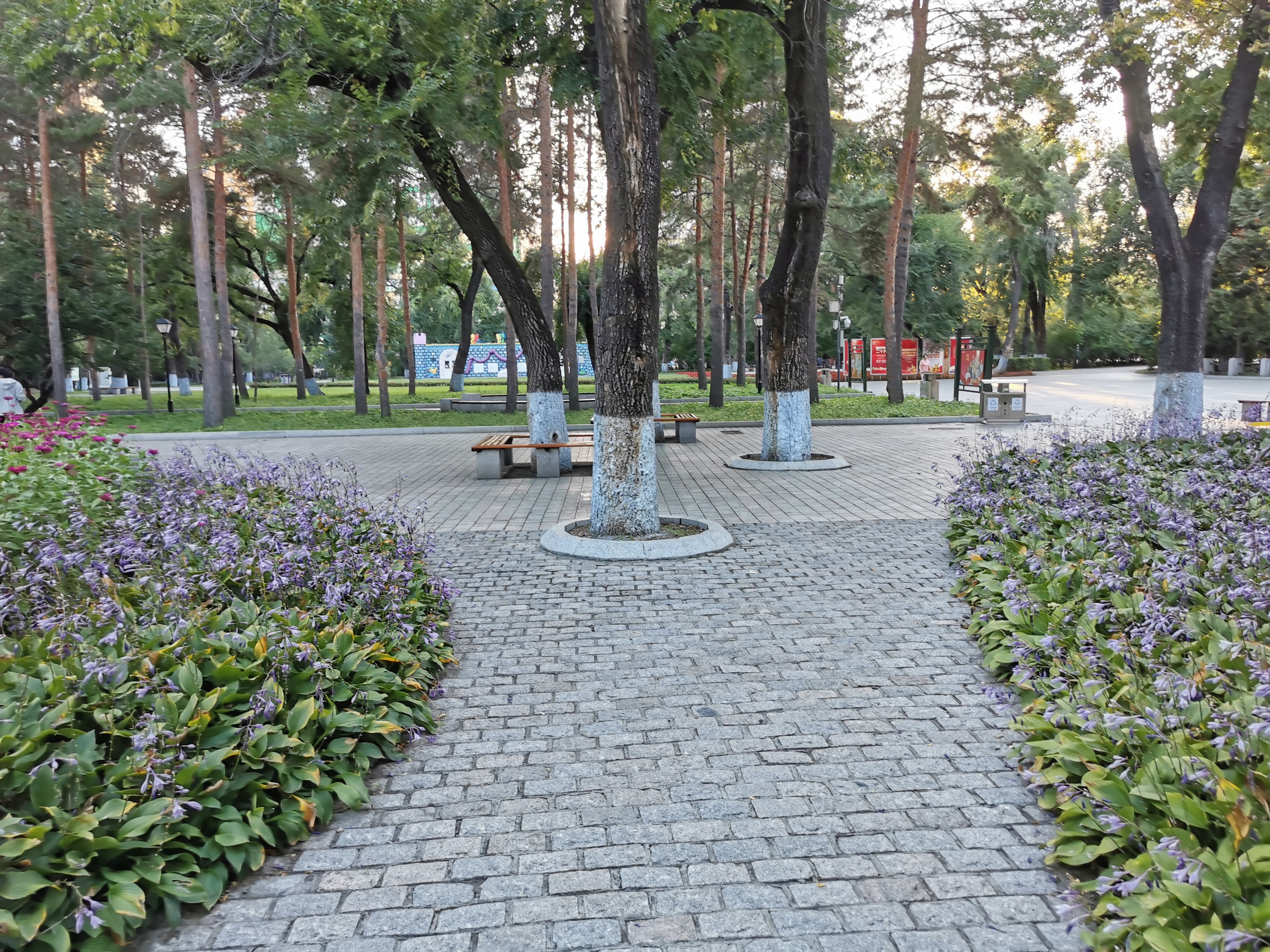 哈尔滨：把英雄铭刻在城市的记忆