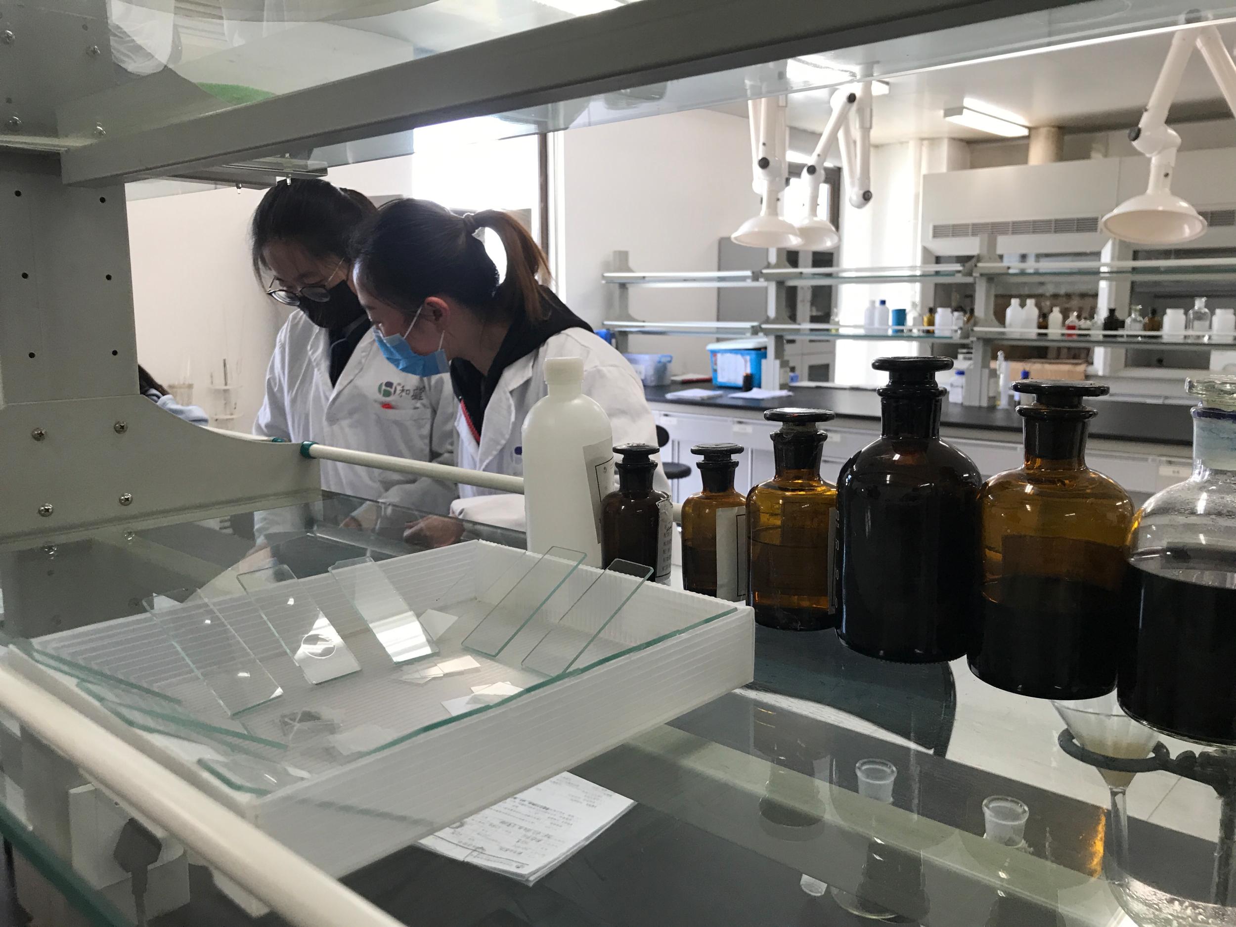 新春走基层丨开足马力忙生产 韧性生长攀新高——宁夏民营经济大县走访见闻