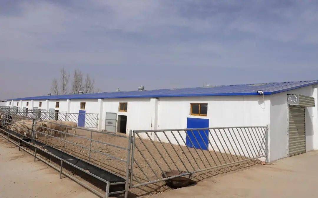 新春走基层丨开足马力忙生产 韧性生长攀新高——宁夏民营经济大县走访见闻