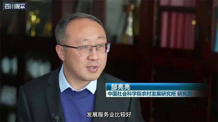 激发乡村全面振兴澎湃动能——中国经济圆桌会聚焦2025年中央一号文件