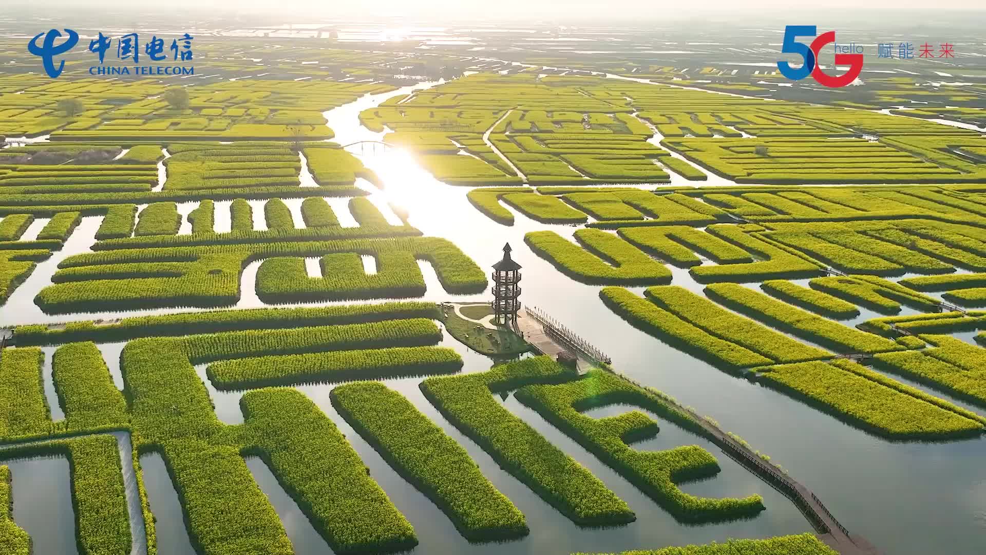 激发乡村全面振兴澎湃动能——中国经济圆桌会聚焦2025年中央一号文件