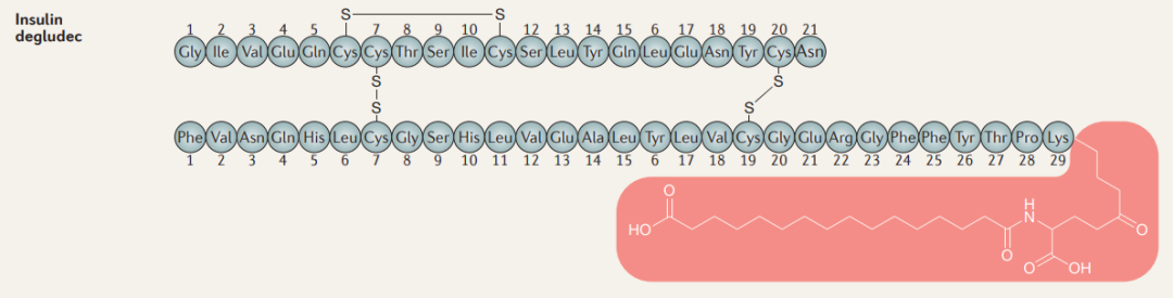 通化东宝：注射用THDBH120降糖适应症Ib期临床试验达到主要终点目标