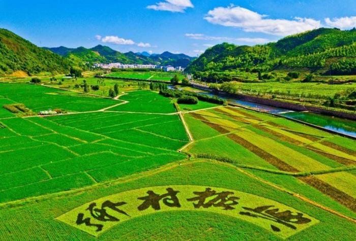 财经聚焦|乡村新店见证乡村发展新活力