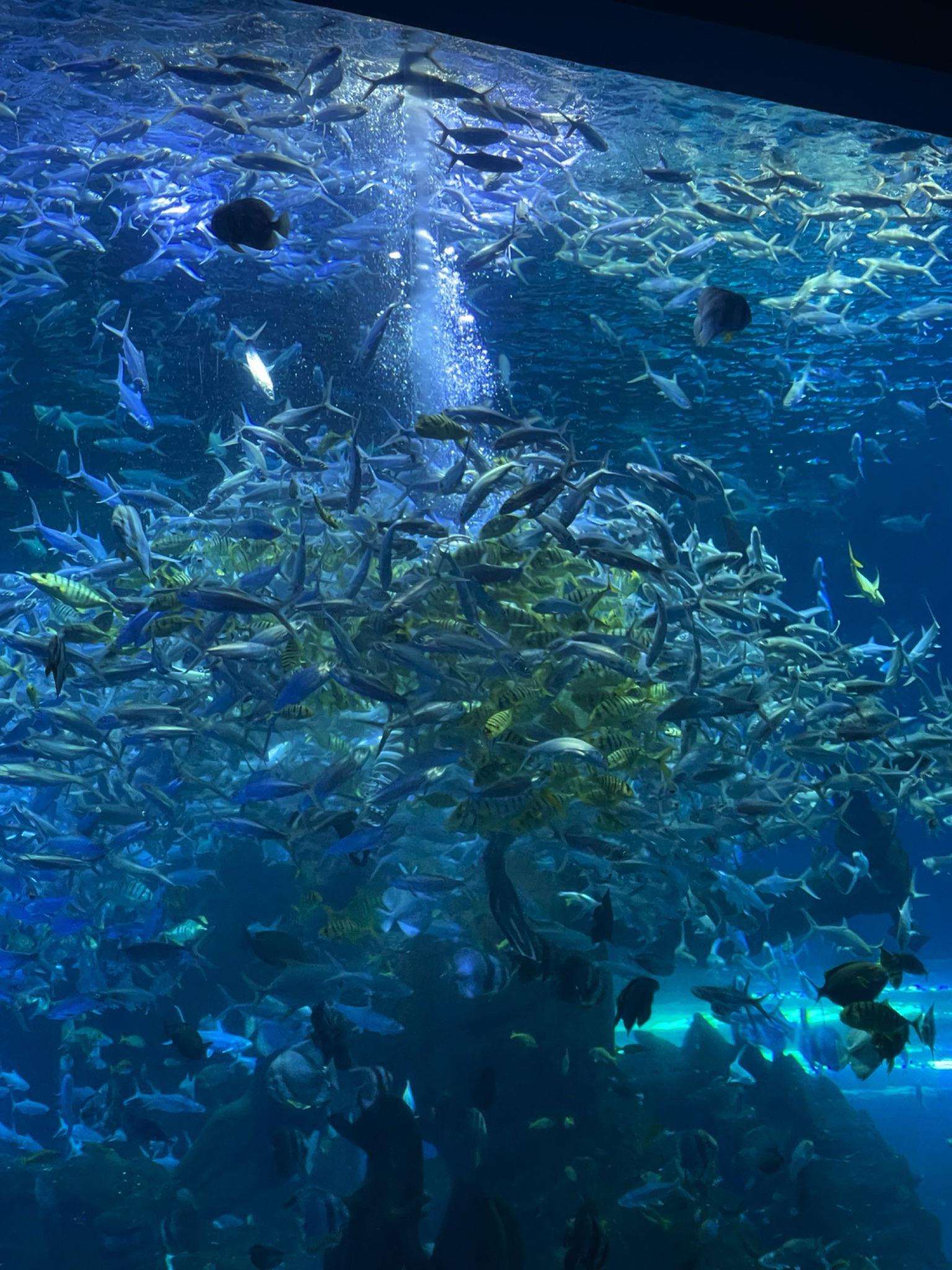 前7个月外贸运行向上向好