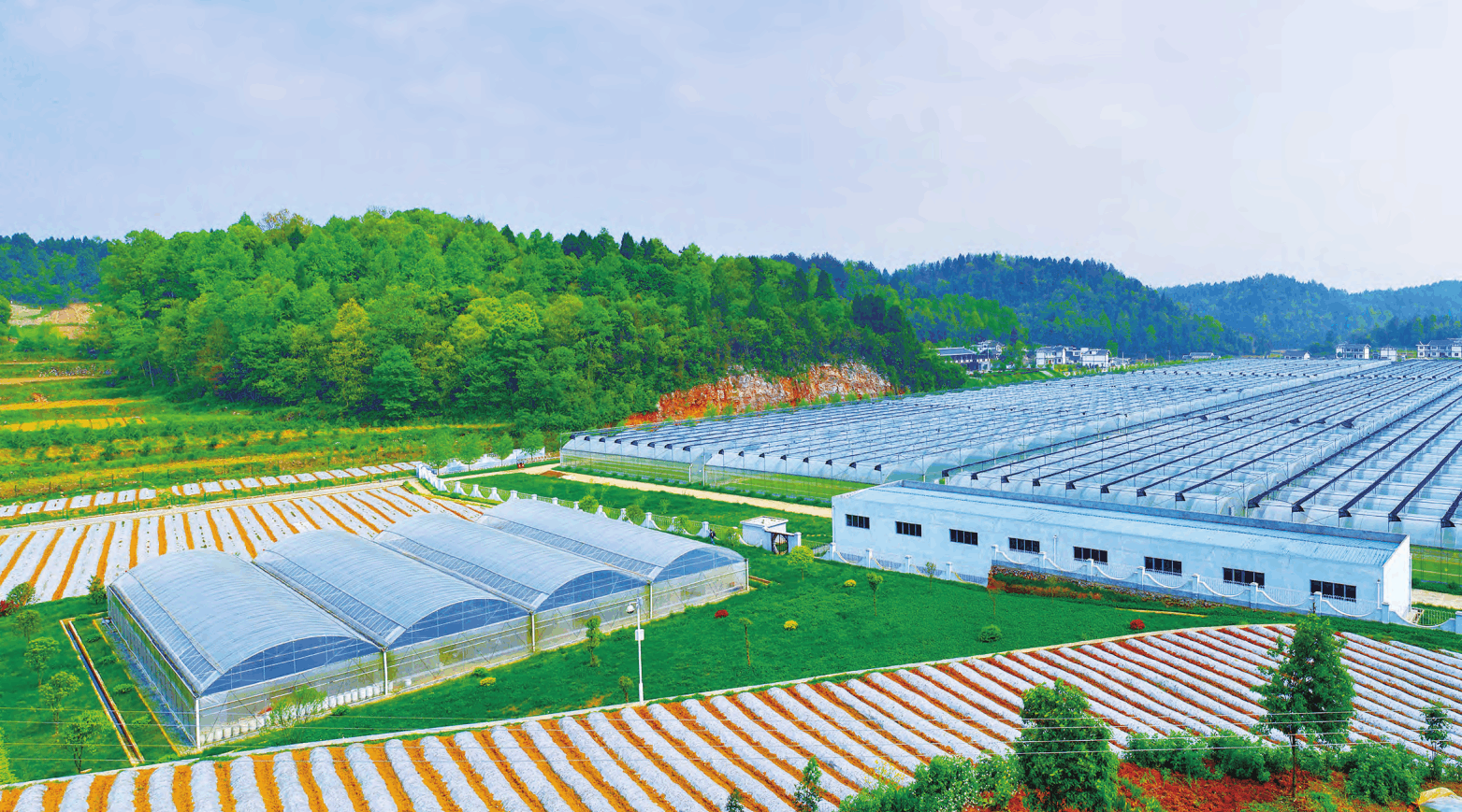 紧扣绿色低碳、数智转型趋势 兴通股份签订四艘新型智能船舶