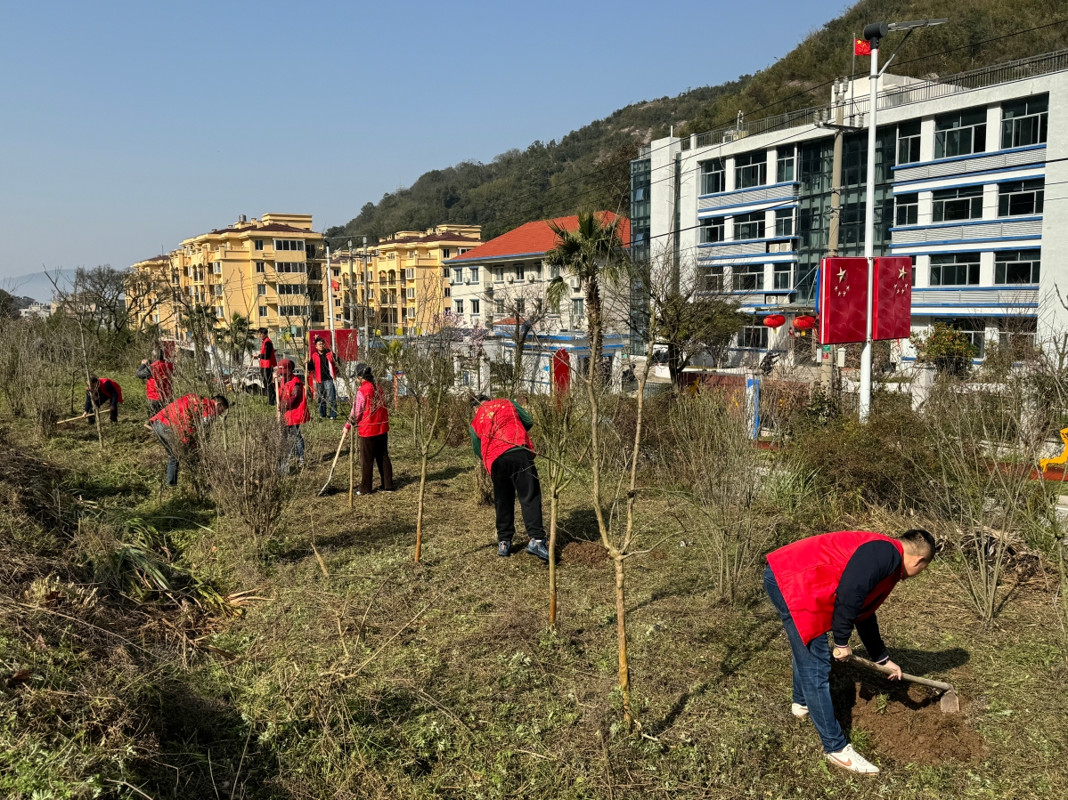 春来植树添新绿