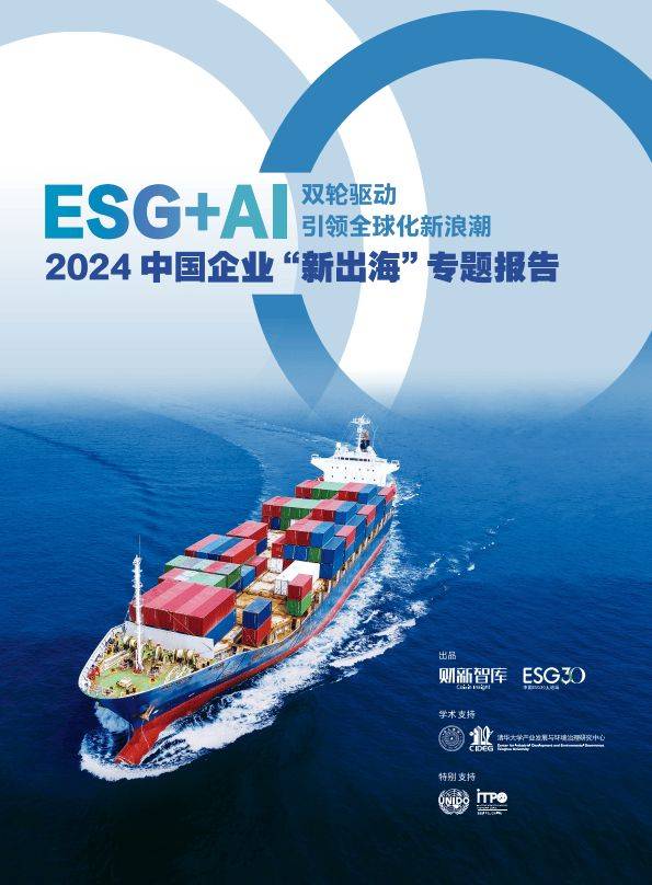 雾芯科技：2024年净营收劲增73.3% 全球化运营推动业绩增长