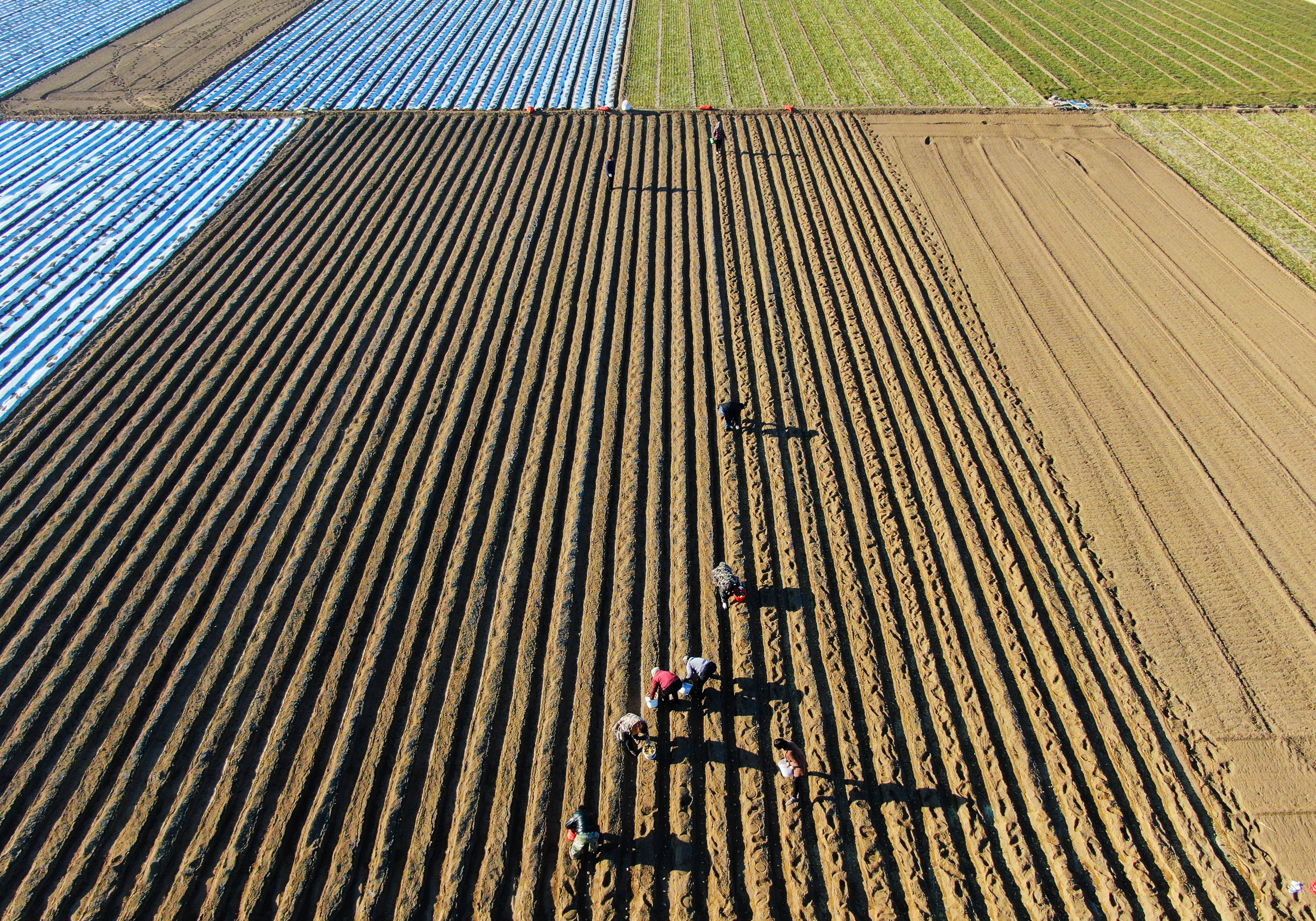 春耕里的“科技范儿”