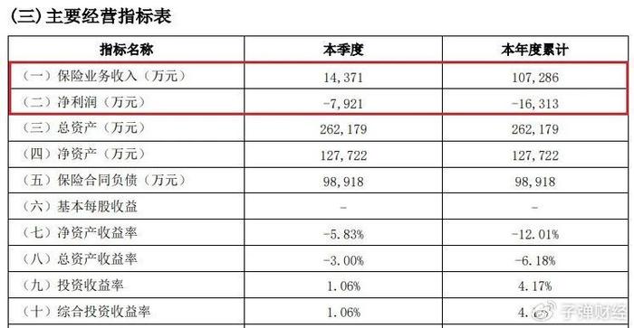 众安在线：2024年总保费超334亿元 归母净利润6.03亿元