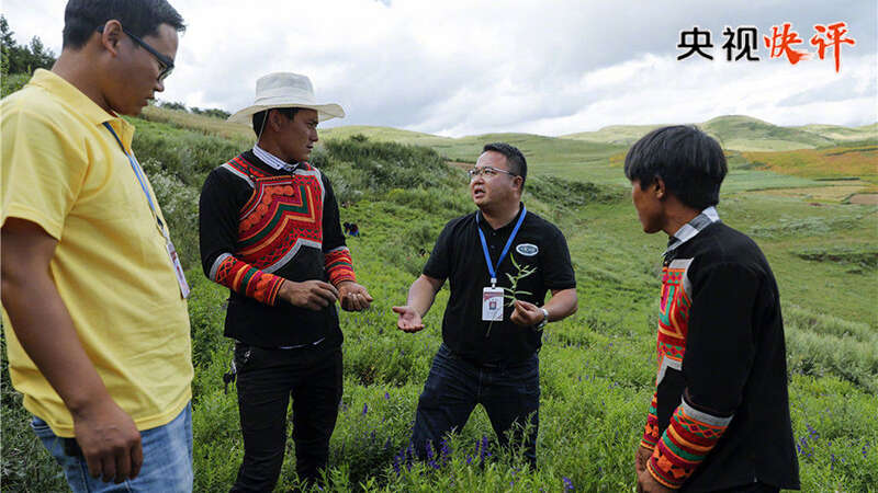 政府与企业“双向奔赴” 外贸“开门稳”可期