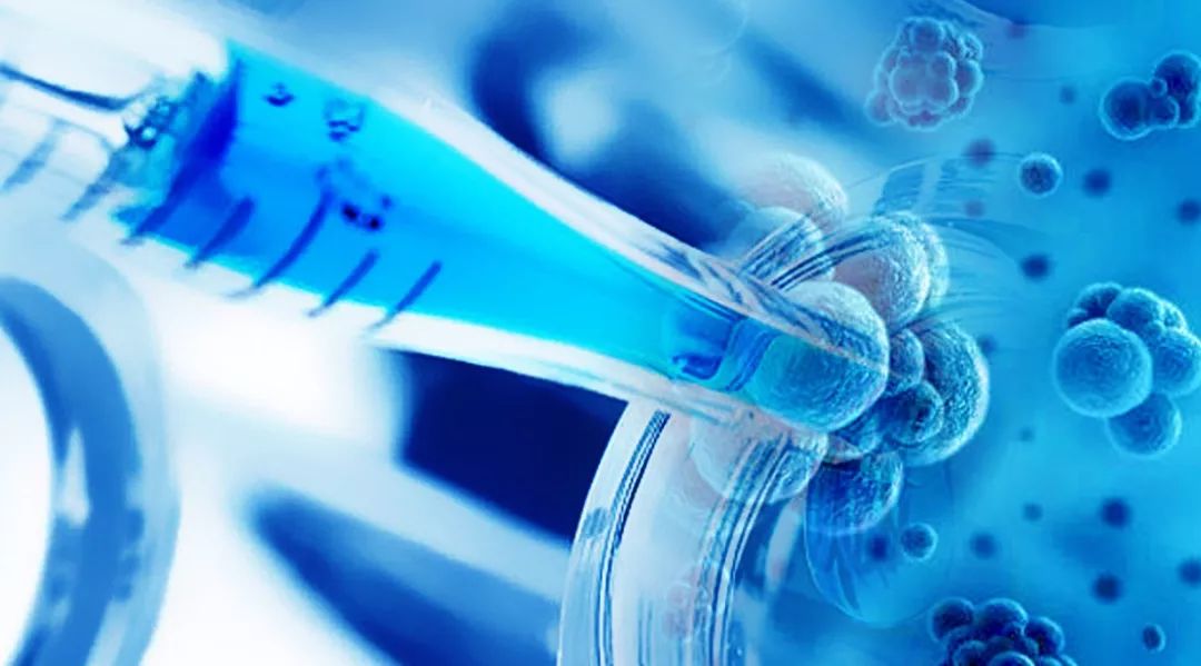 维昇药业在港交所成功上市 安科生物为基石投资者