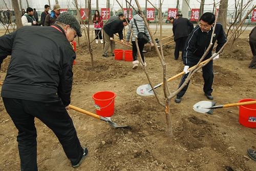 沪鲁台三地企业家联谊义务植树活动在沪举办