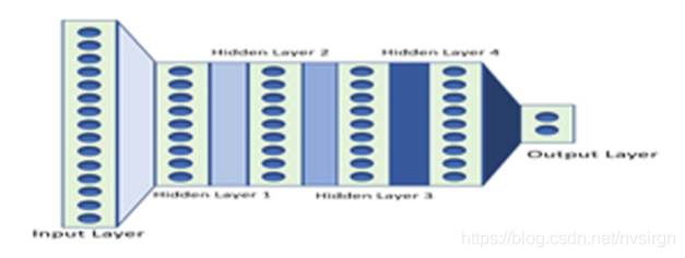我国科学家成功构建微米级脑机接口三维多模态图谱