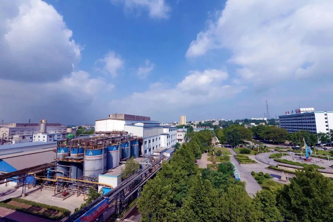 犁翻千层浪 人勤地不懒——从春耕一线看山东为农业高质量发展积蓄新动能