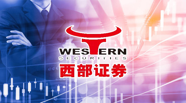 西部证券党委书记、董事长徐朝晖：凝心聚力书写“五篇大文章” 持续增强服务实体经济质效