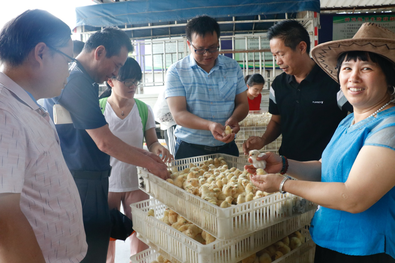 辉隆股份：2024年归母净利同比增长120.71% 深化工贸服一体化战略助力农业现代化