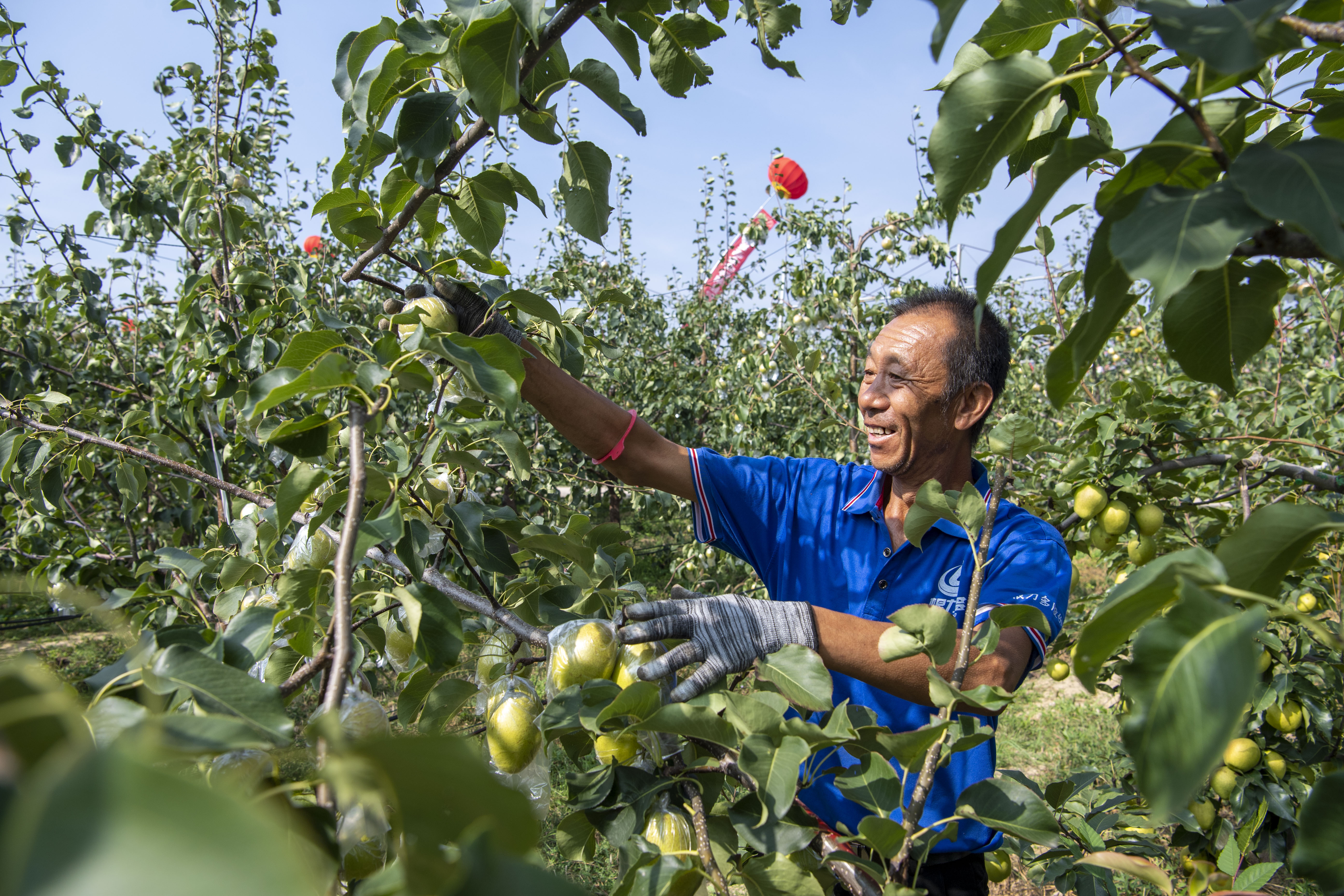 中国经济样本观察·县域样本篇丨这个西部县城为何聚集了上万家民营企业？