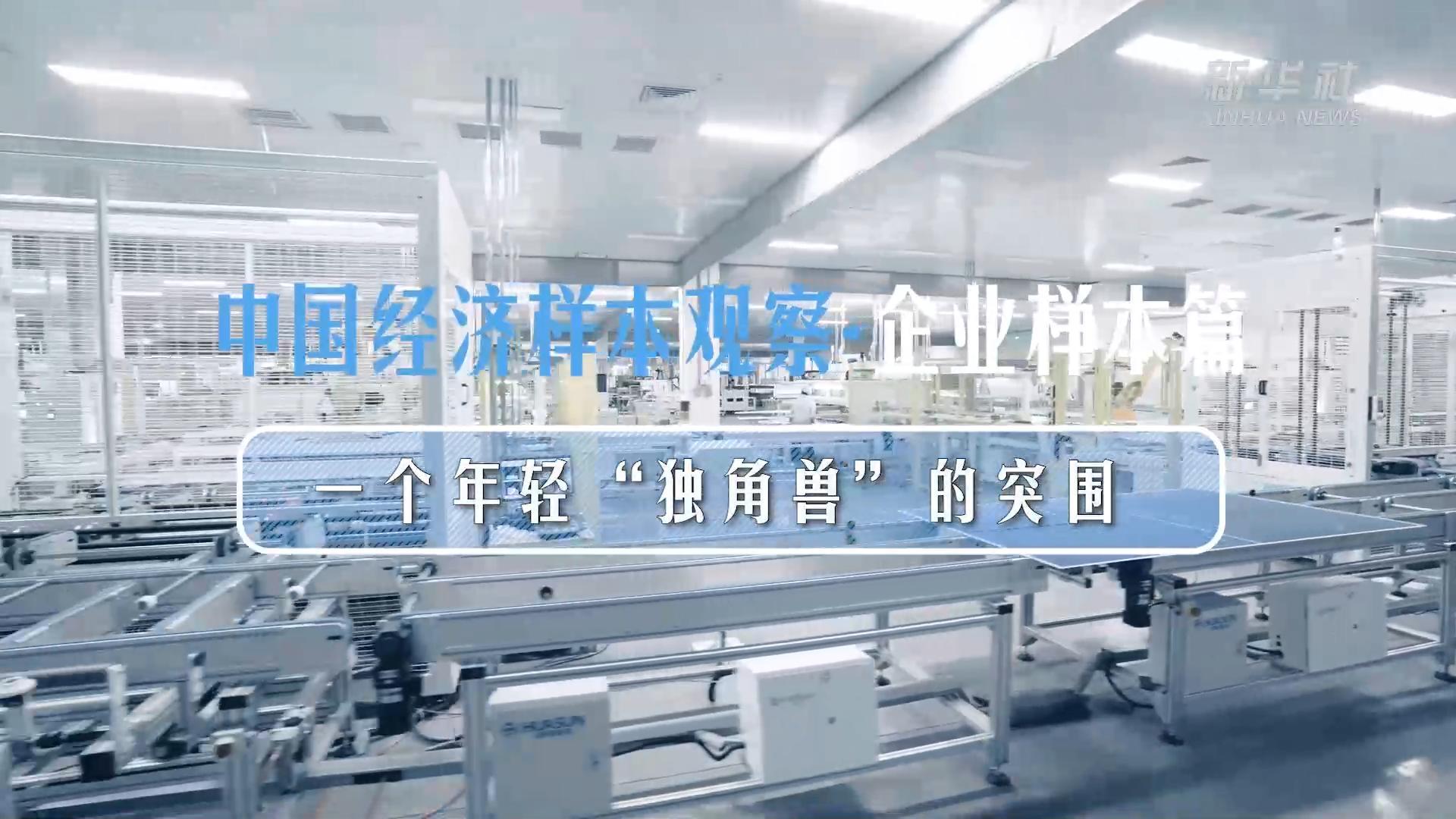 中国经济样本观察·县域样本篇丨这个西部县城为何聚集了上万家民营企业？