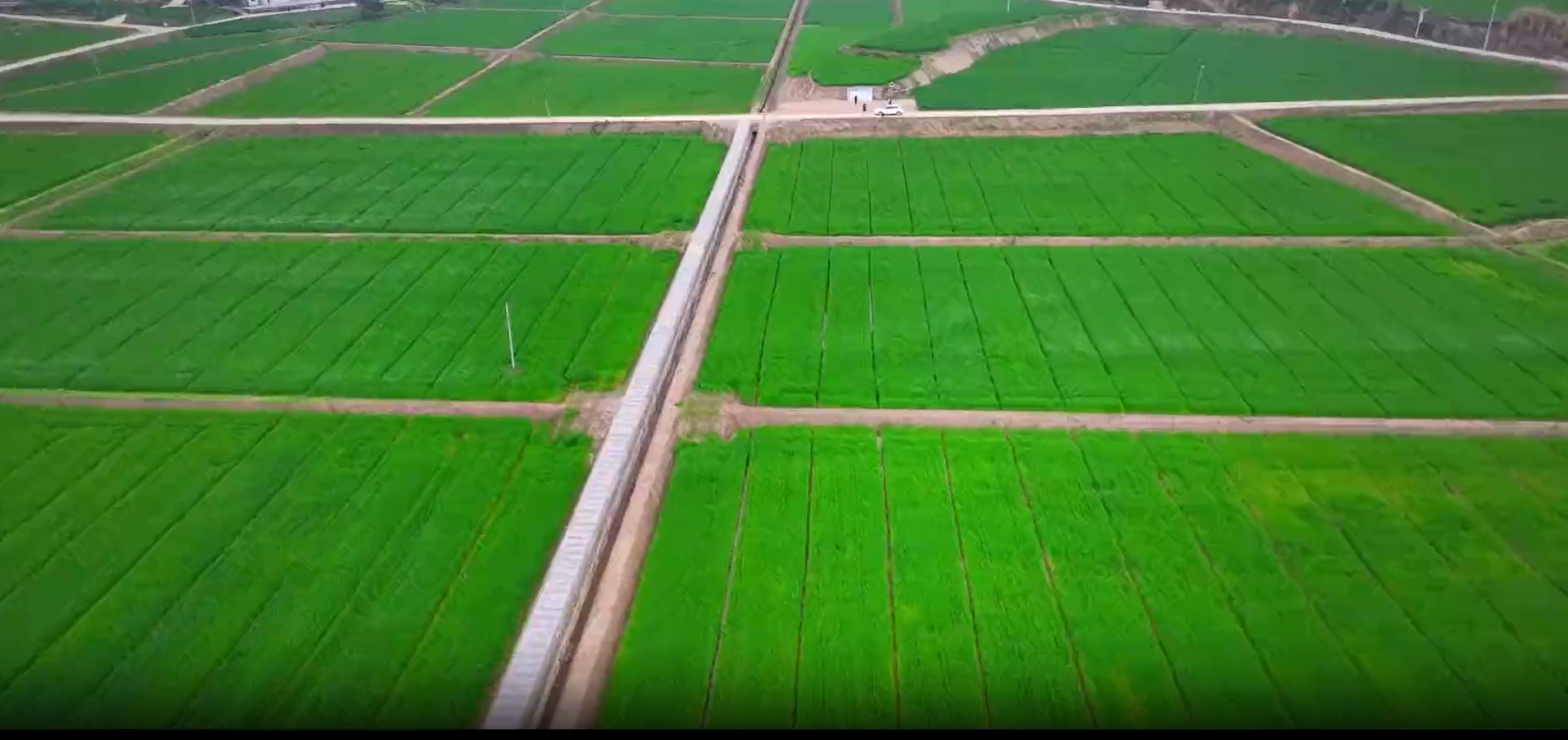 努力建设高产稳产的现代化良田——有关部门就《逐步把永久基本农田建成高标准农田实施方案》答记者问