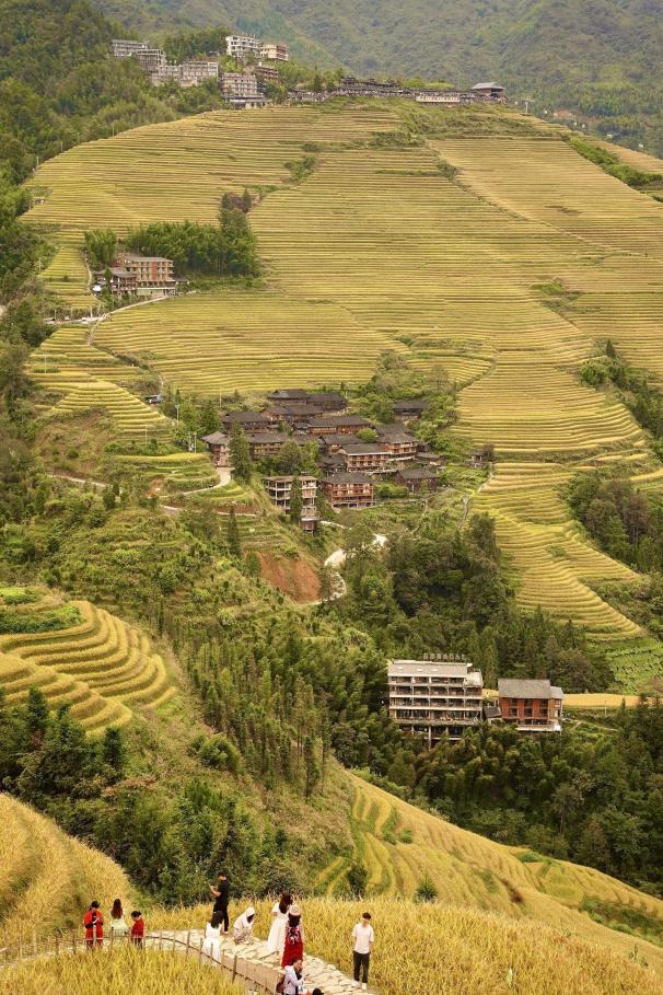 福建：乡村旅游成文旅新风尚