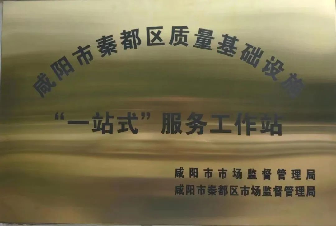 中国投促会会长房爱卿：中智企业可在能源转型、基础设施、制造业等领域加大双向投资
