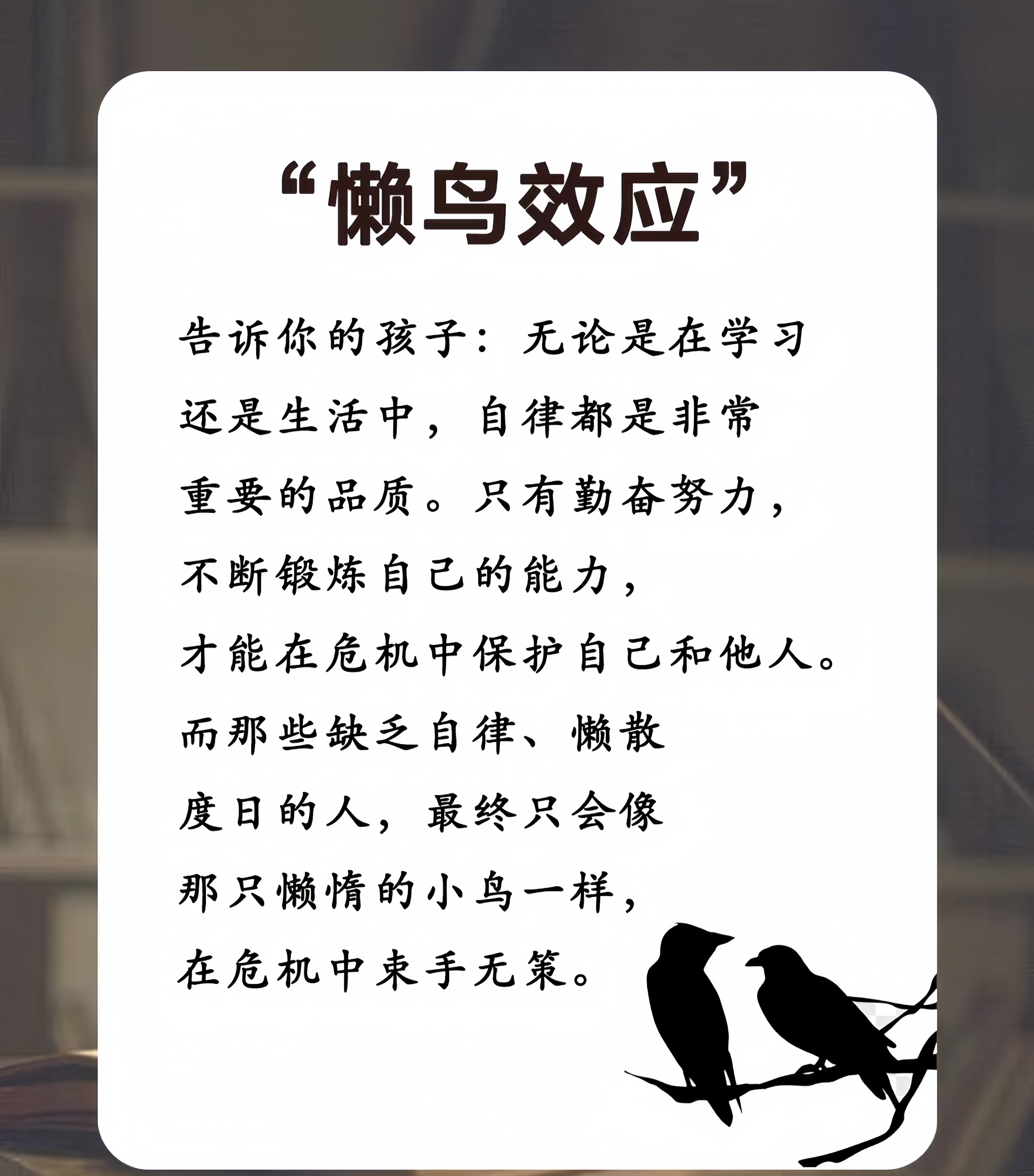 深交所提升自律处分规范性精准性