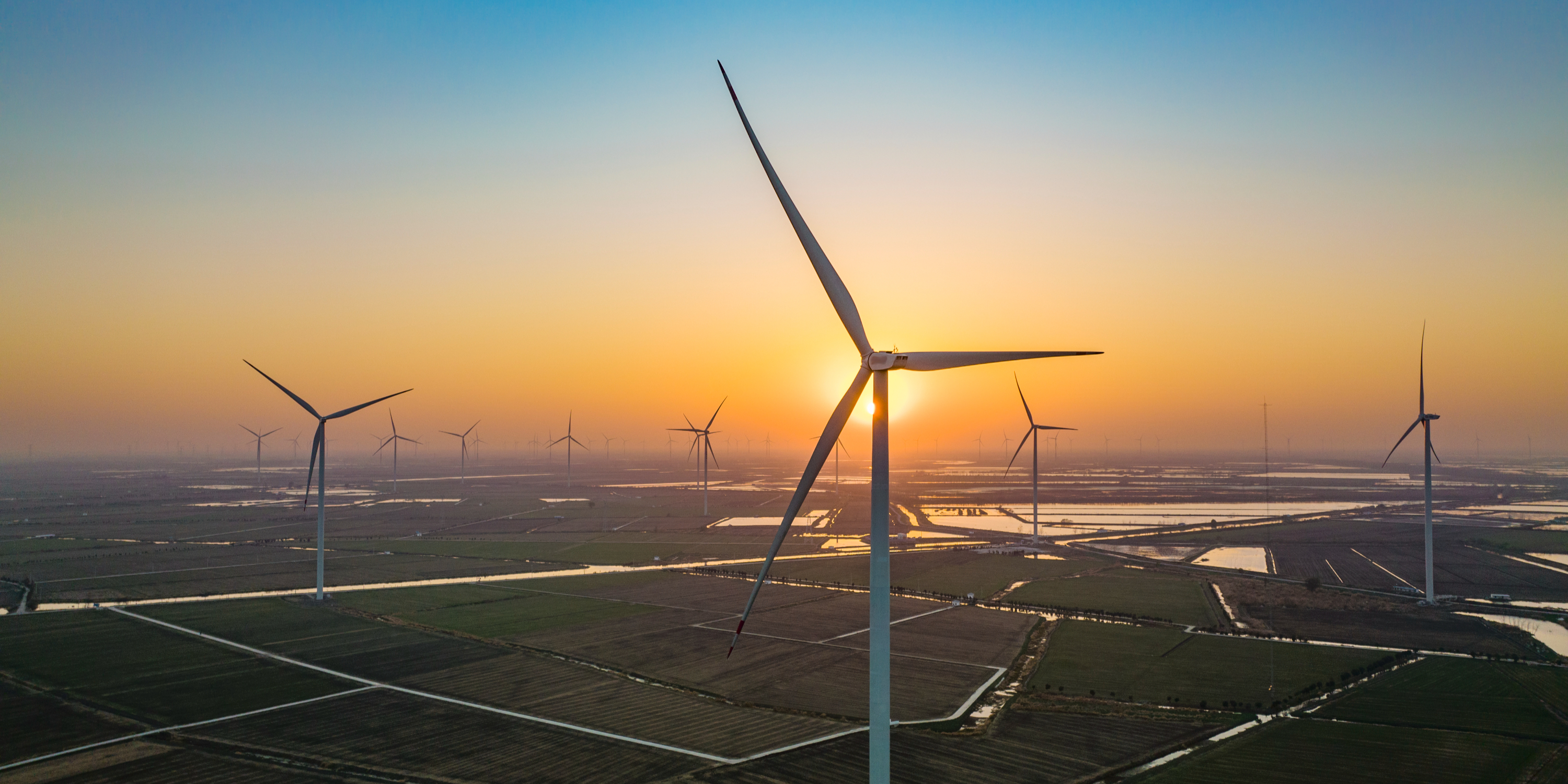 直击通威股份股东大会：练好内功 明年光伏行业有望迎来拐点