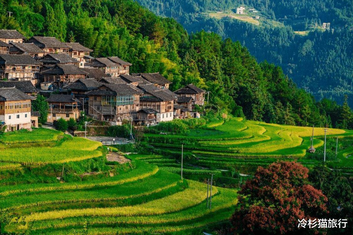 宝藏之城丨梵净山下的这“抹”绿色，飘香全球