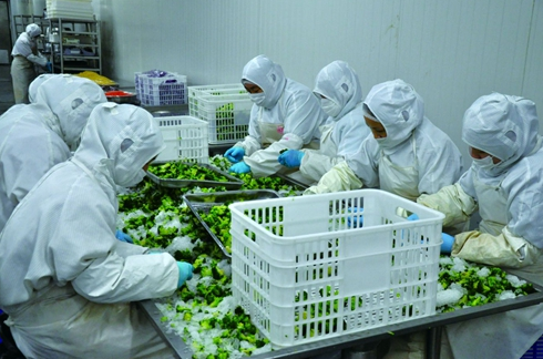 星阔投资：降息背景下红利资产有望迎来配置良机