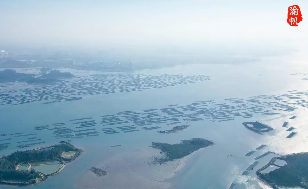 渝港协作共拓西部大开发新机遇