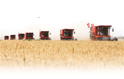 江苏小麦收获进度过半 机收率超99%