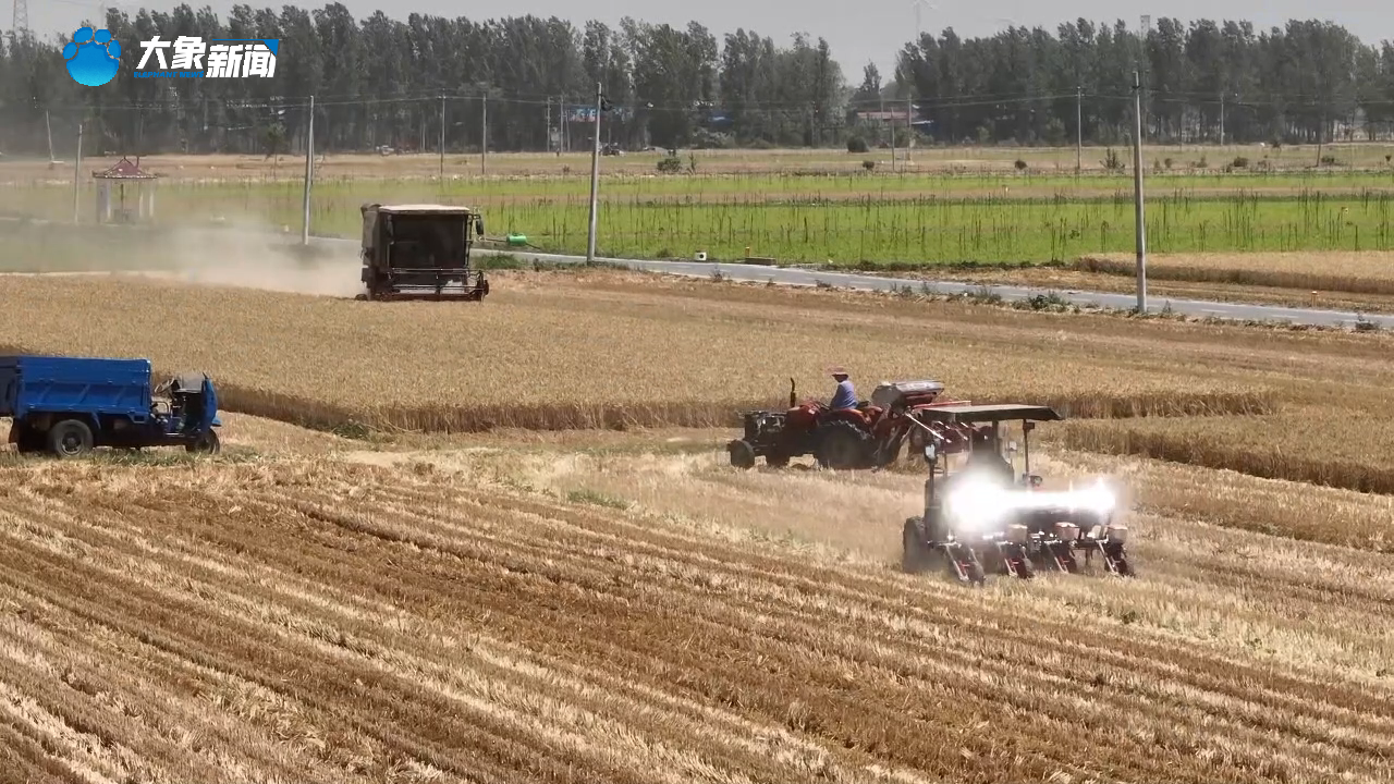 “三夏”生产一线观察丨听，种粮大户的“丰收密码”