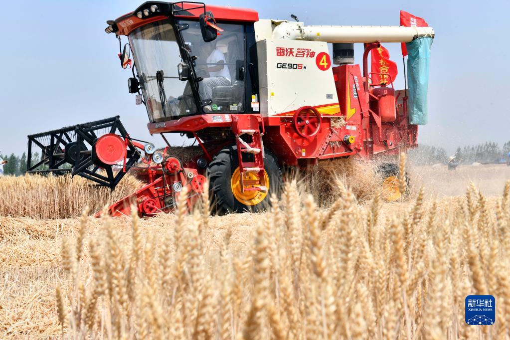 “三夏”生产一线观察丨听，种粮大户的“丰收密码”